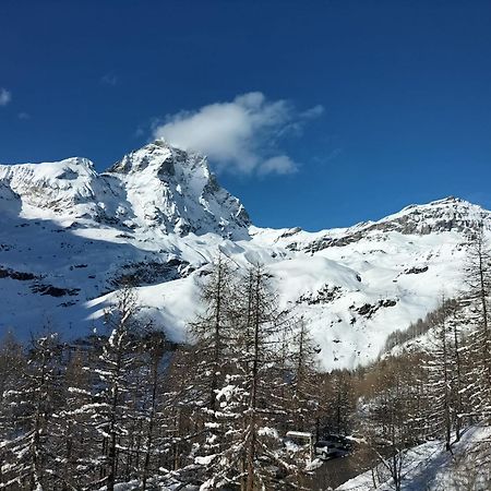 Cervinia Apartments Breuil-Cervinia Eksteriør bilde